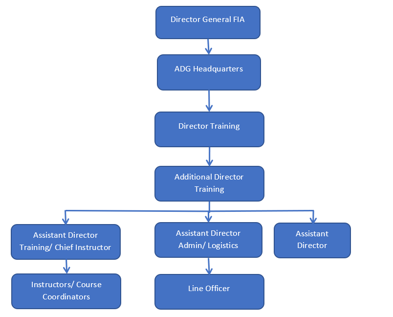 Law Organization Structure