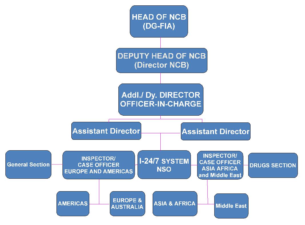 Interpol Organization Structure