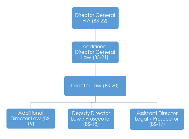 Law Organization Structure